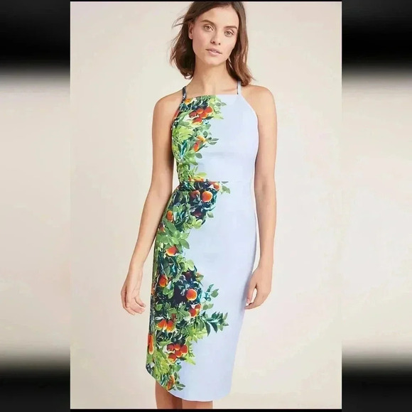 Anthropologie Maeve Orange Bough Blue Citrus Dress Midi Grove - Picture 2 of 11
